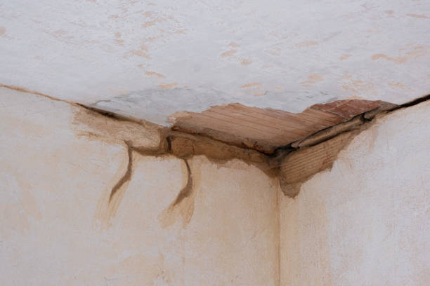 Best Fire Damage Restoration  in Pipestone, MN