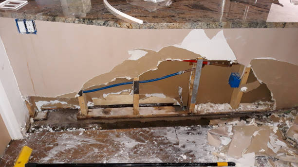 Best Water damage contractors near me  in Pipestone, MN
