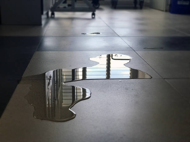 Best Professional water damage repair  in Pipestone, MN
