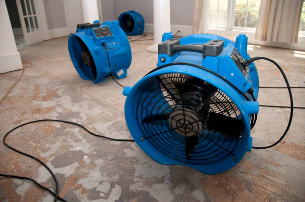 Best Basement water damage restoration  in Pipestone, MN