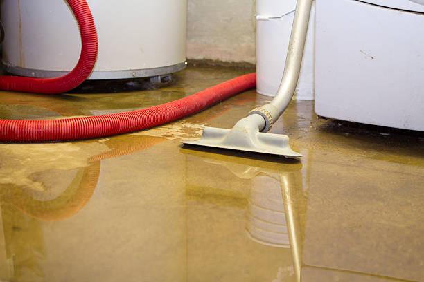 Best Water damage restoration near me  in Pipestone, MN