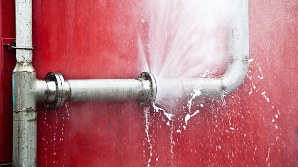 Best Mold removal after water damage  in Pipestone, MN